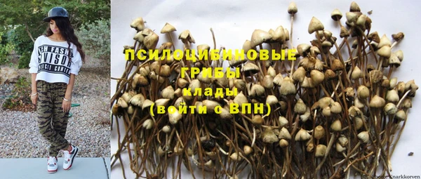 дмт Карпинск