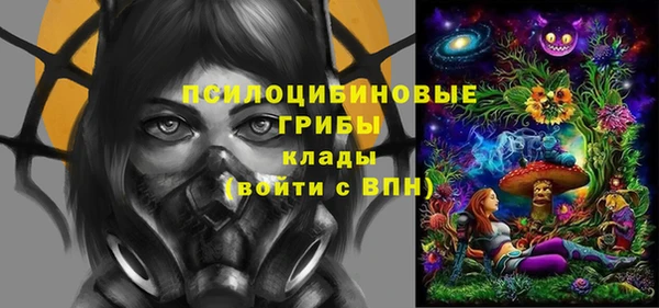 дмт Карпинск